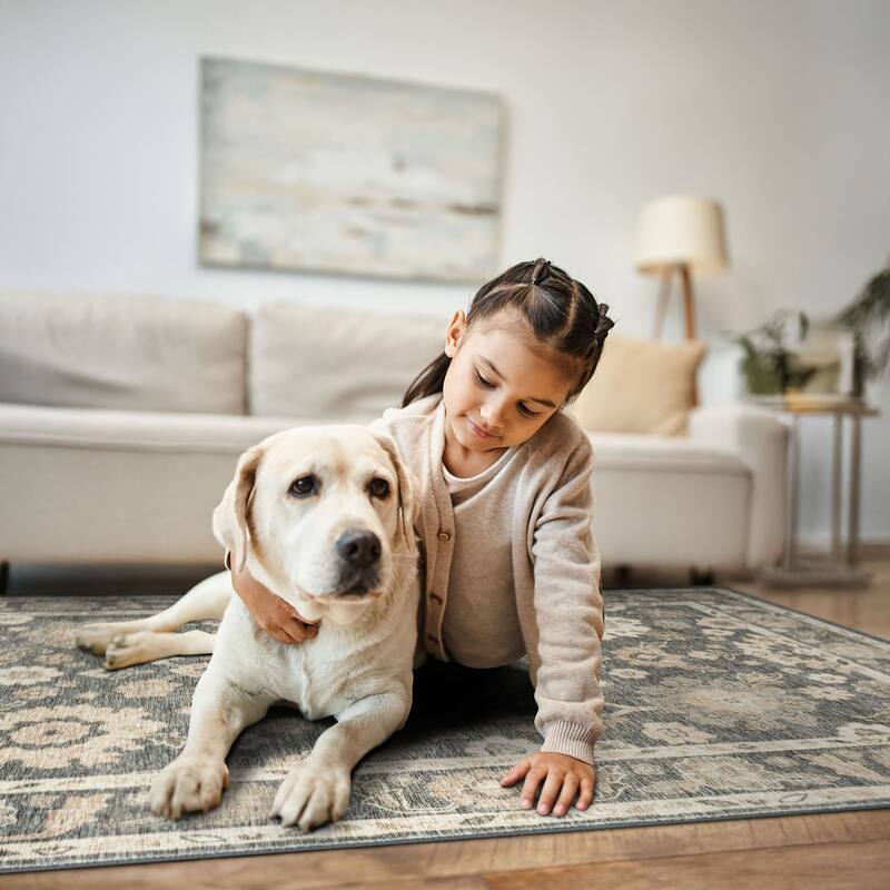 Smart Wash Ambient Glam Oriental Indoor Polyester Area Rug
