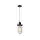 Option Oil Rubbed Bronze / Clear