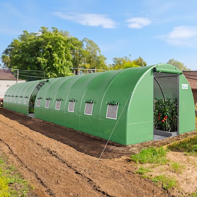 Moasis Greenhouse with Reinforced Steel Frame PE Cover