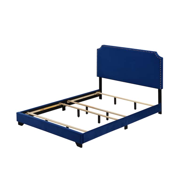 Queen Size Velvet Upholstered Platform Bed with Nailhead Trim and 660lbs Capacity