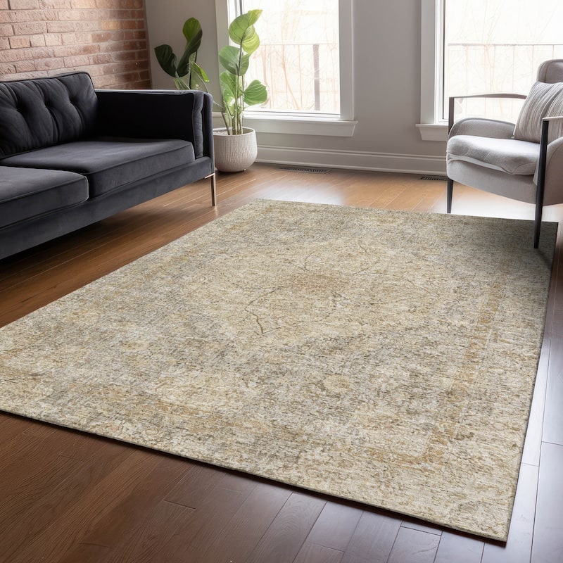 Machine Washable Indoor/Outdoor Traditional Global Chantille Rug