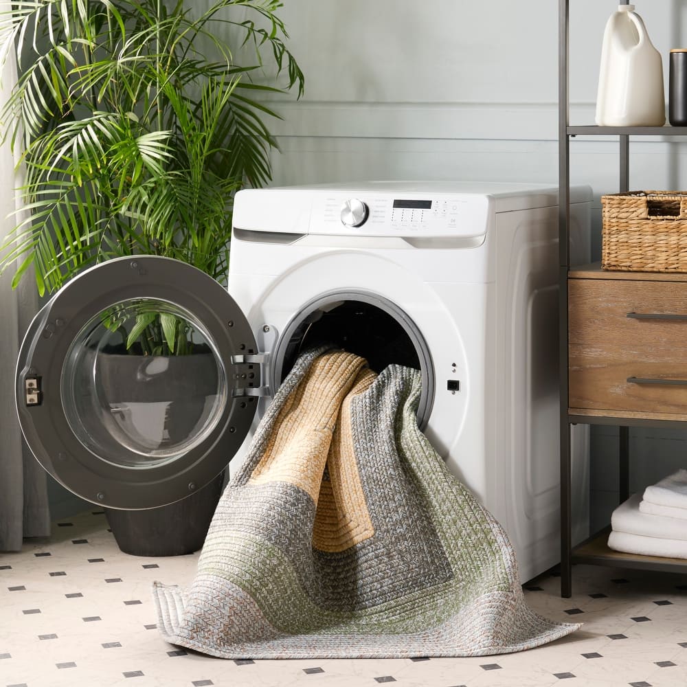 SAFAVIEH Handmade Braided Ecenur Indoor/Outdoor Machine Washable Rug