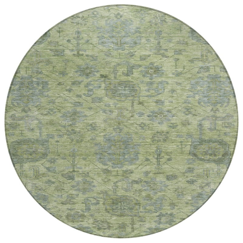 Machine Washable Indoor/ Outdoor Vintage Traditional Chantille Rug