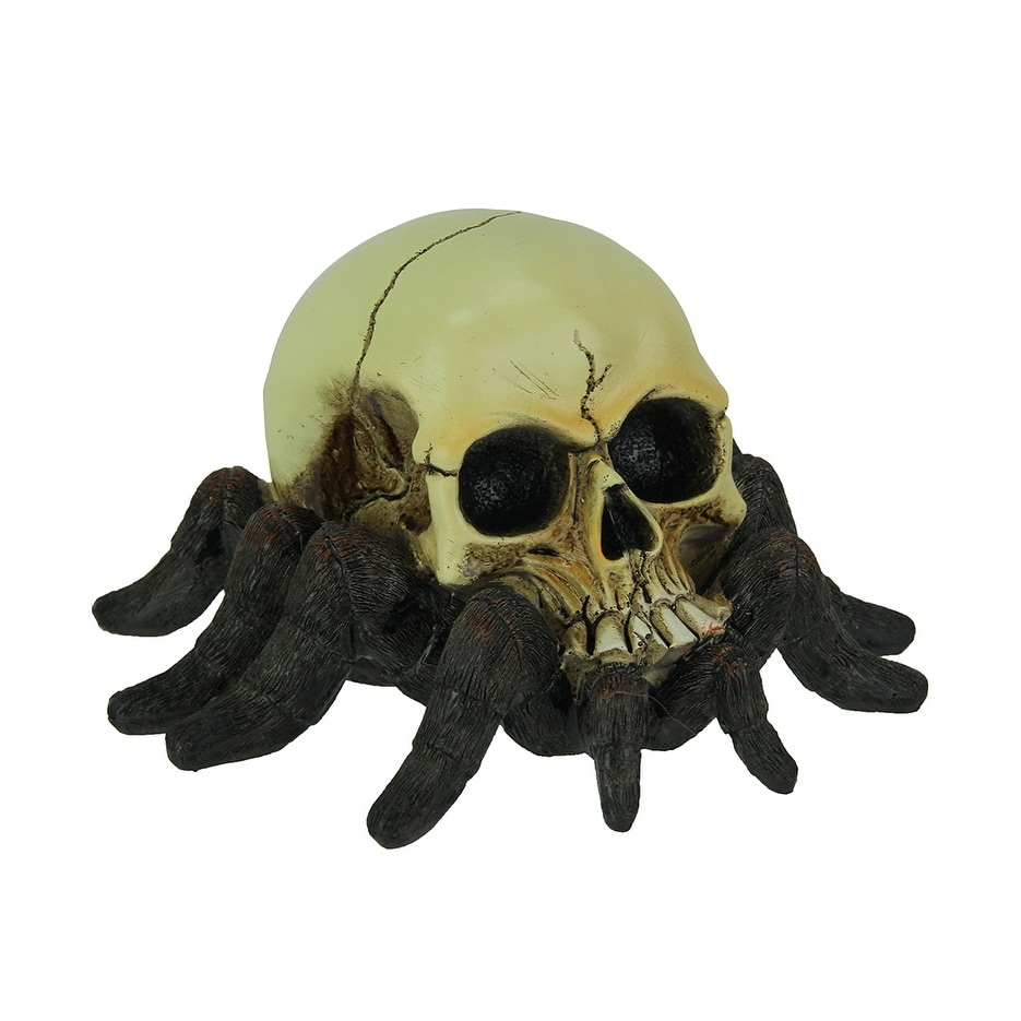 Creepy Tarantuskull Human Skull Tarantula Spider Statue 4 25 X 7 X 5 75 Inches