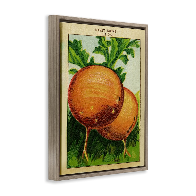 Stupell Country Vintage Onions Framed Floater Canvas Wall Art Design By Lil' Rue