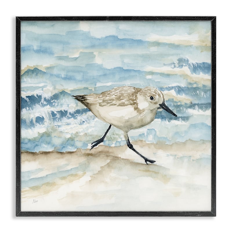 Stupell Sandpiper Striding Shore Framed Giclee Art Design By Nan - 17 x 17 - Black