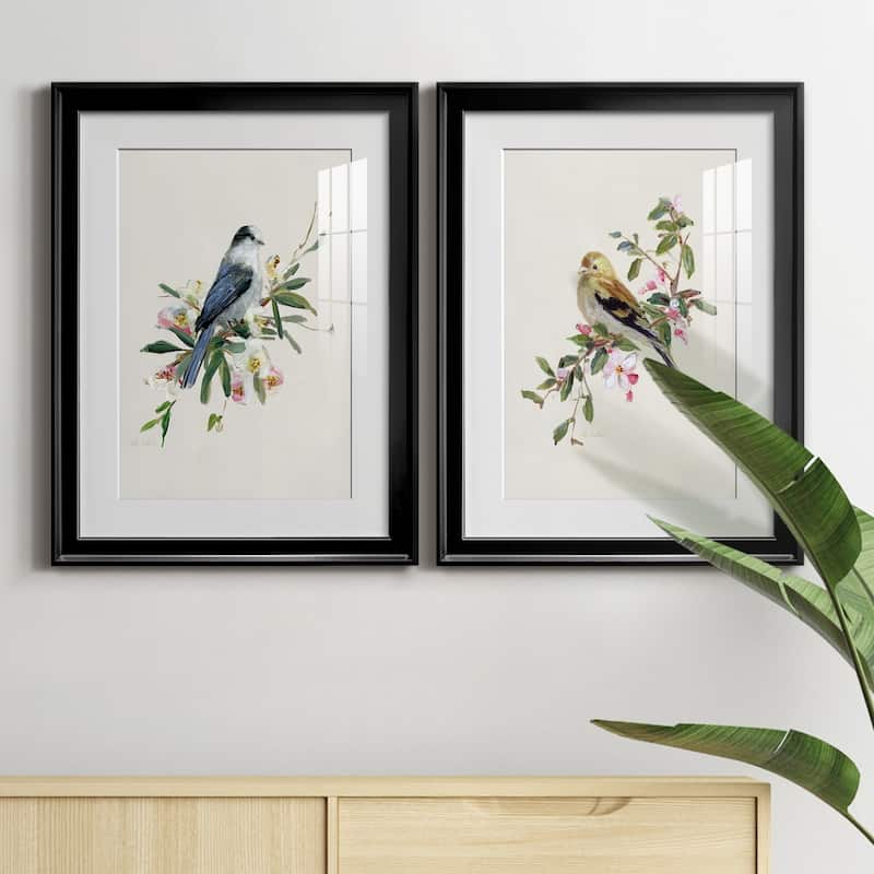 Spring Song Gray Jay Premium Framed Print - Ready to Hang