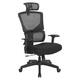 Option Black Back with Mesh v2 Seat and Headrest