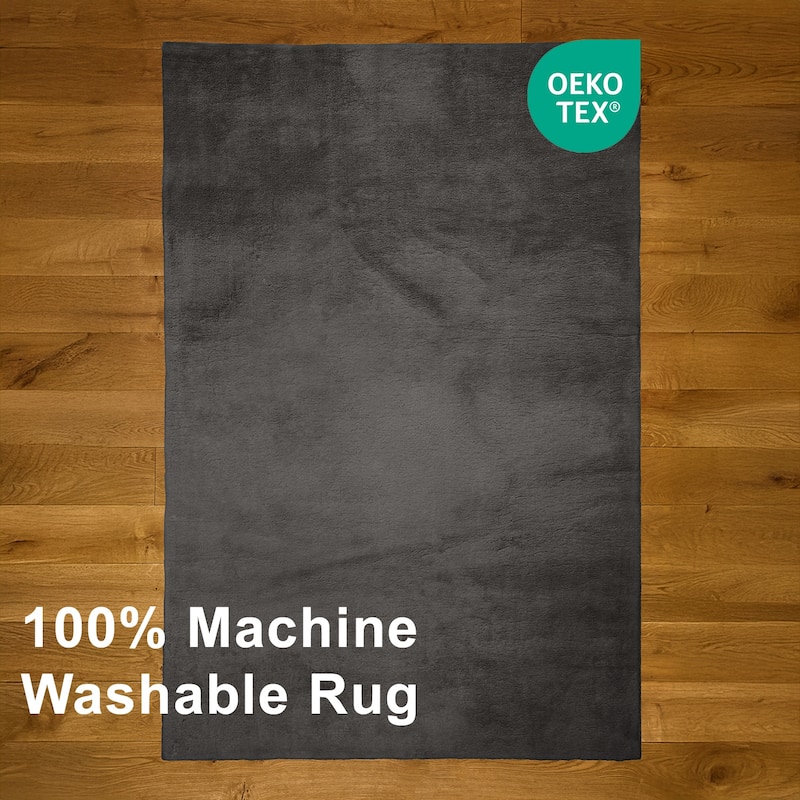 ECARPETGALLERY Argo Plush & Shags Machine Washable Area Rug