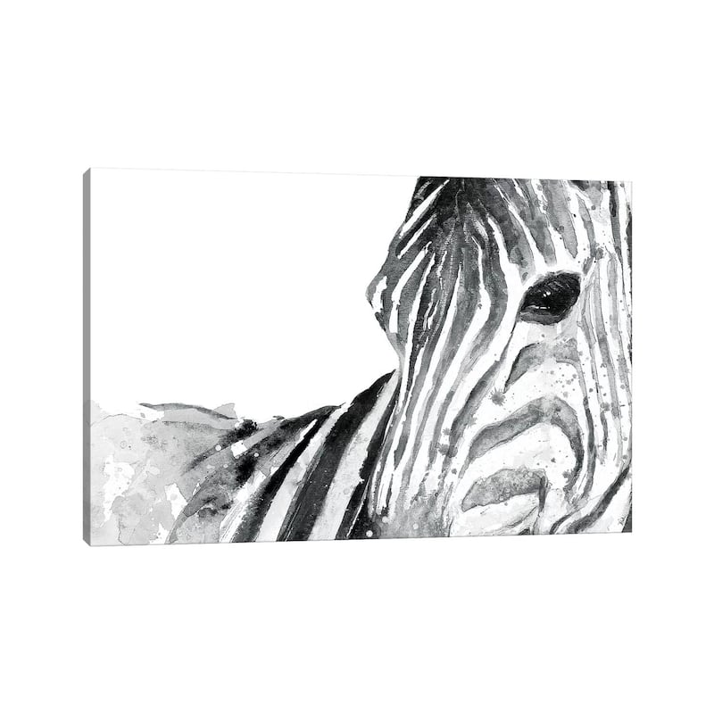 iCanvas "Zebra Gaze" by Patricia Pinto Canvas Print