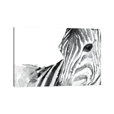 iCanvas "Zebra Gaze" by Patricia Pinto Canvas Print