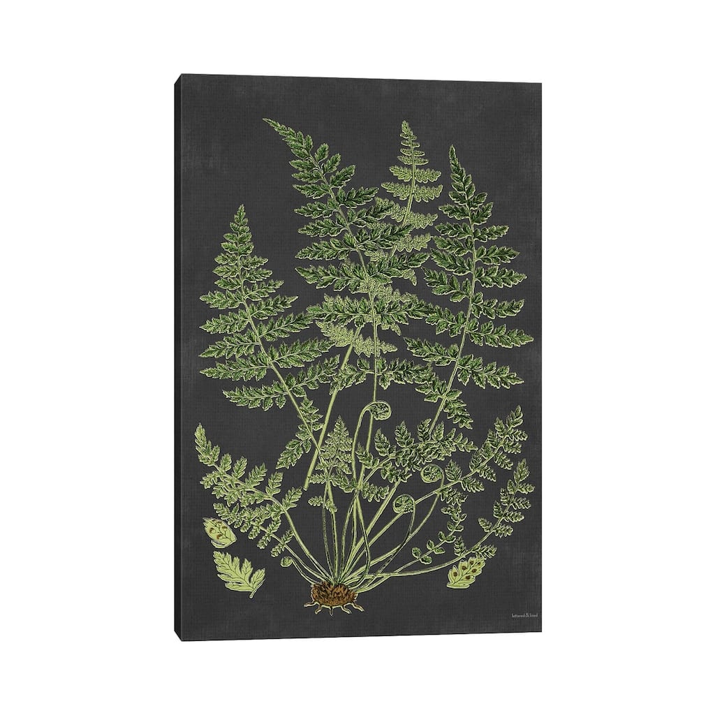 iCanvas "Fern Study" by lettered & lined Canvas Print
