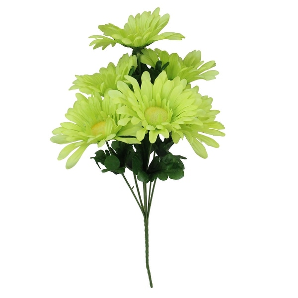 14" Bright Green Berbera Daisy Floral Bush With Dark Green Leaves - N/A