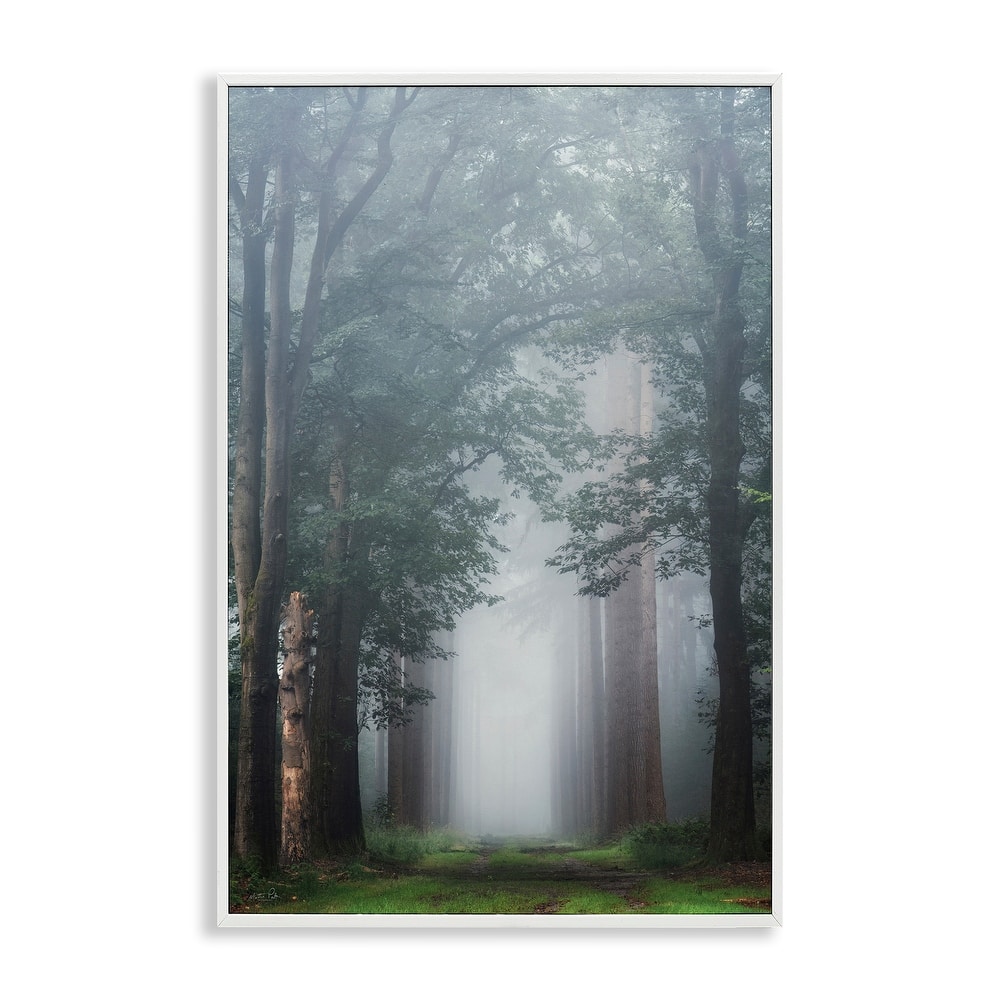 Stupell Calm Forest Clearing Framed Giclee Art Design By Martin Podt