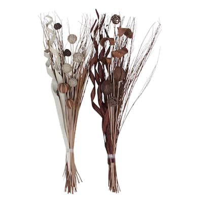 Dried Plant Foliage Natural Foliage - Set of 2 Brown - Roche River Decor - 15"W x 15"L x 46"H