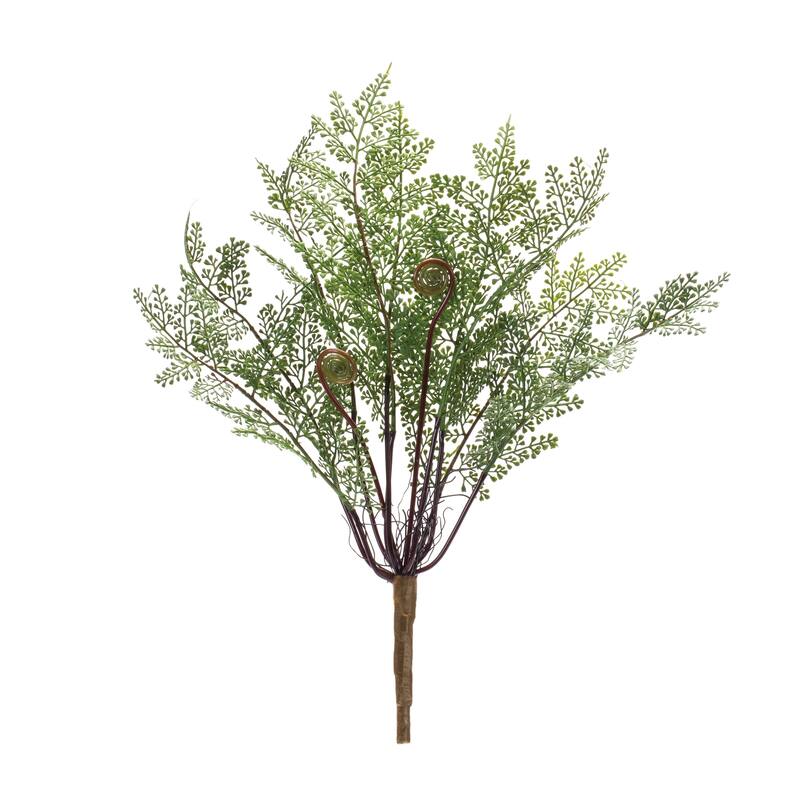 Fern Bush (Set of 2)