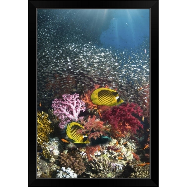 "Coral reef scenery" Black Framed Print