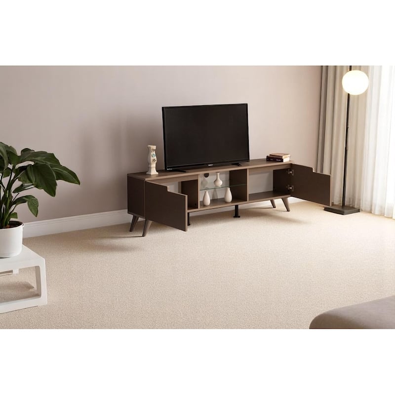 Dannie Modern TV Stand with 2 Doors Storage Cabinets 1 Glass Shelf, Wood Finish, Living Room Entertainment Center