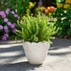 preview thumbnail 11 of 32, Plant Pot - Ivory Ceramic Round Iridescent Floral Crown, 6"