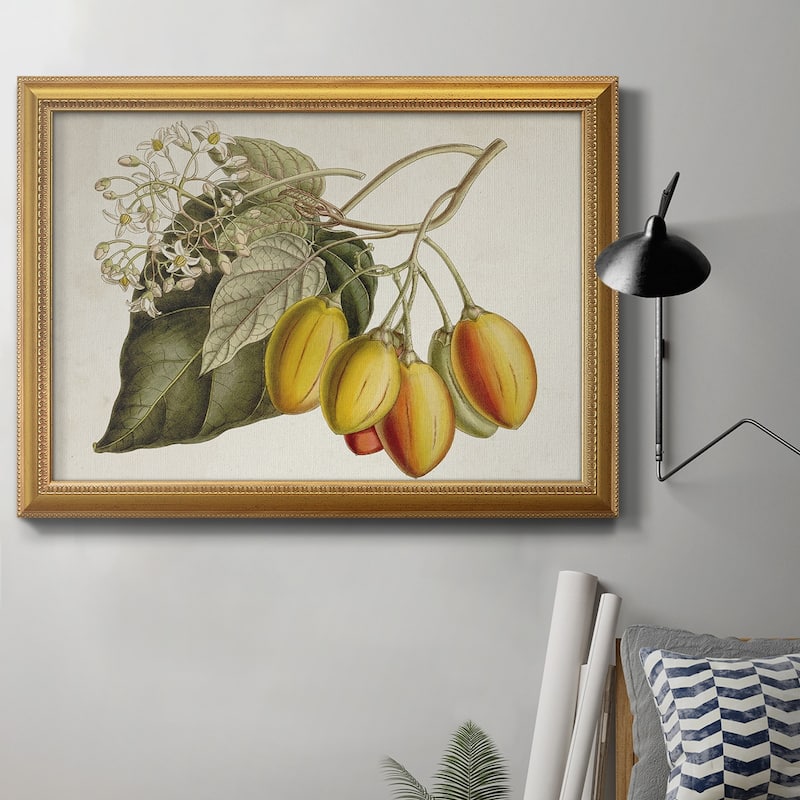 Tropical Foliage & Fruit IV Premium Framed Canvas- Ready to Hang