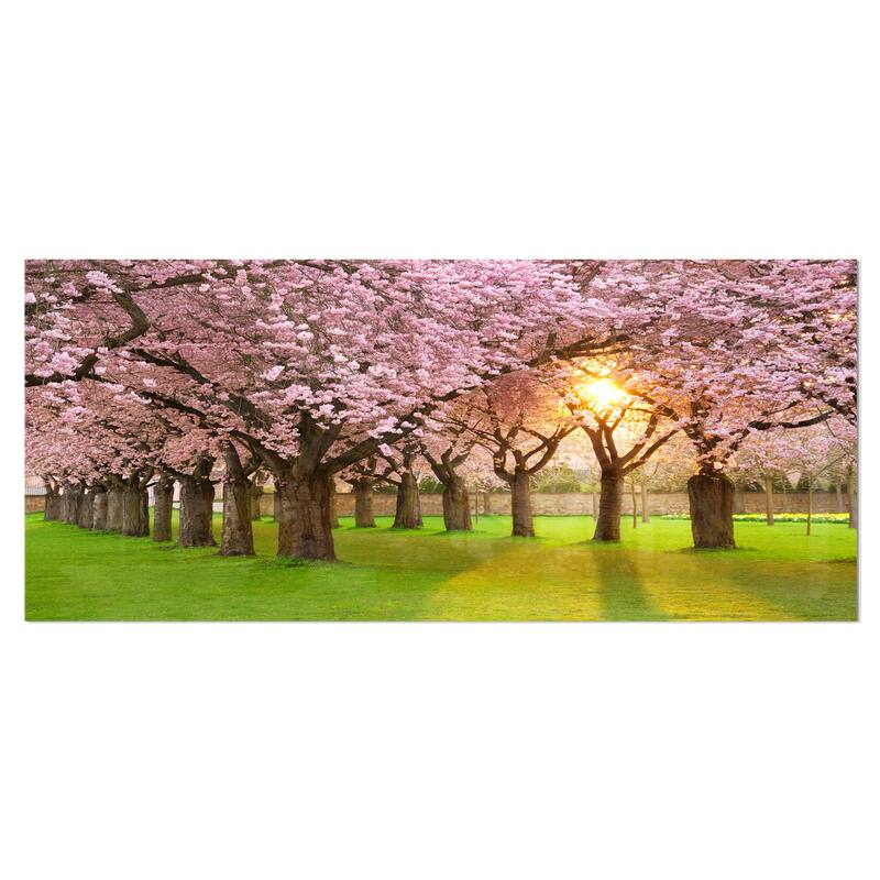 Fascinating Springtime Cherry Scenery - Landscape Glossy Metal Wall Art - 28 in. wide x 12 in. high