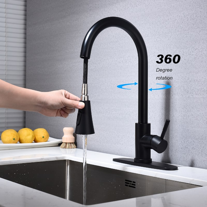 Stainless Steel Single Handle Kitchen Sink Faucet with Pull Down Sprayer - Matte Black