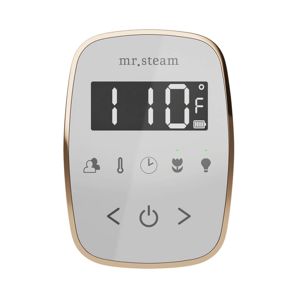 Mr Steam TF Tempoflex Steam Shower Control and Steamhead