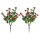 Option Red 2 pcs
