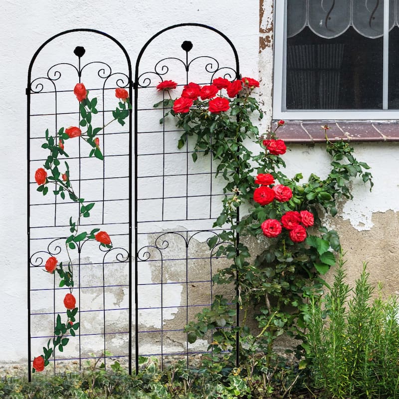 2 Pack Metal Garden Trellis for Climbing Plants