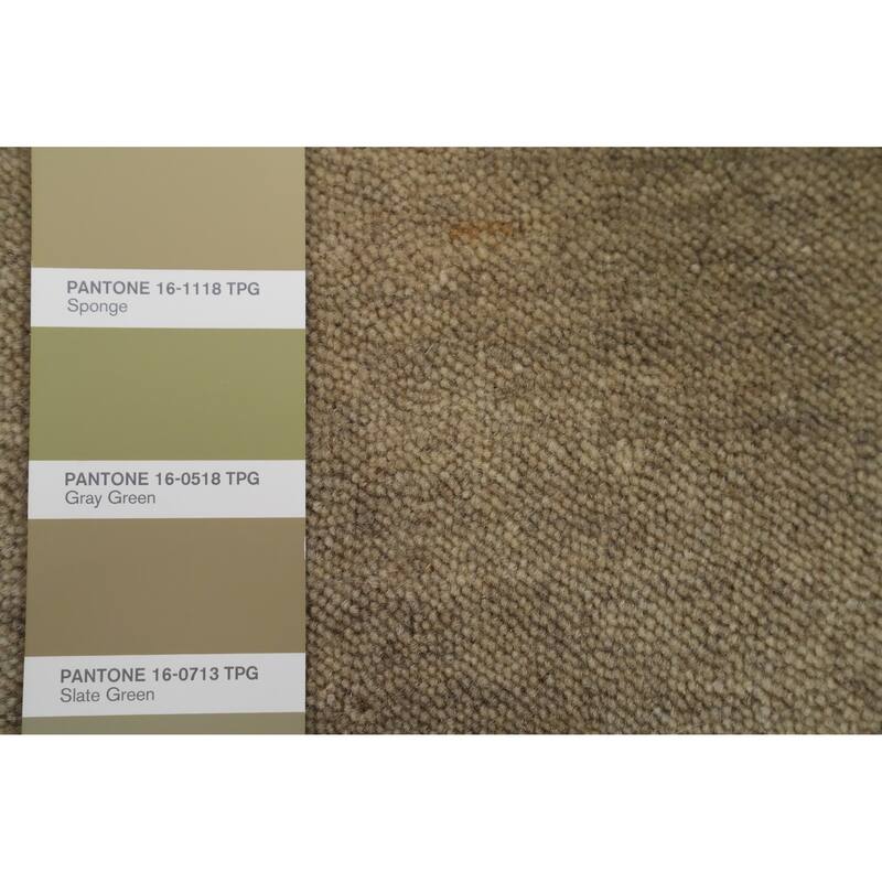 Hand Knotted Oriental 100% Wool Carpet Tribal Animal Pictorial Beige & Ivories Gabbeh Runner Rug - 11' 0'' X 2' 6''