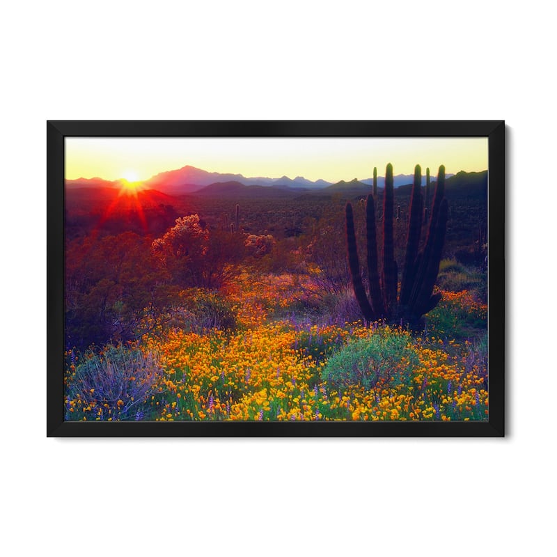Sunset Over An American Southwest Landscape, Organ Pipe National Monument, USA Premium Framed Poster by Christopher Talbot Frank - Black - 24x16x1