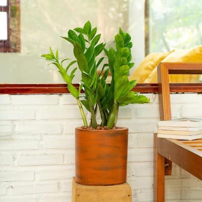 7.8 inch Painted Plastic Self-watering Planter Pot