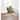 Truly Soft 2 Pack Solid Memory Foam Bath Rug