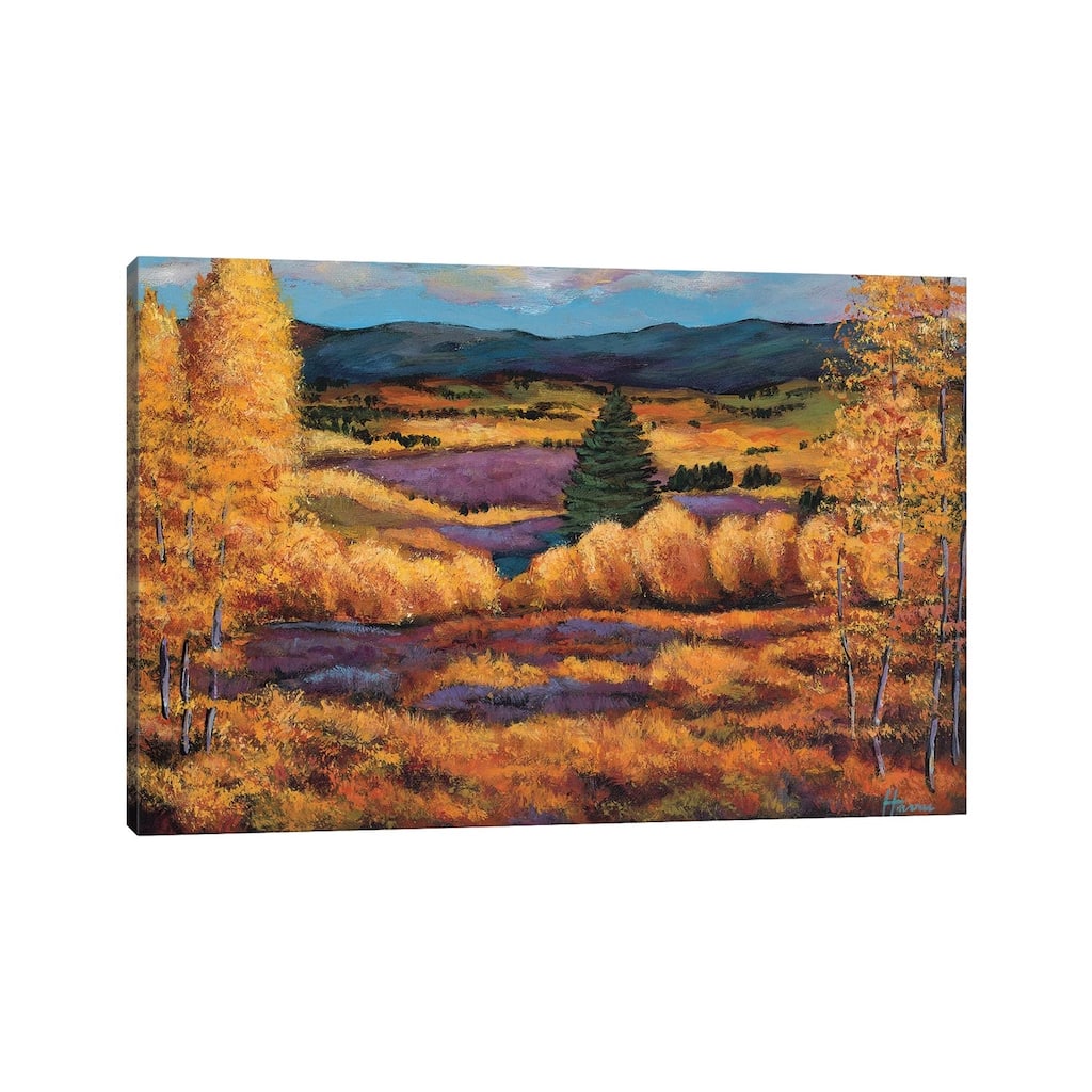 iCanvas "Colorado" by Johnathan Harris Canvas Print