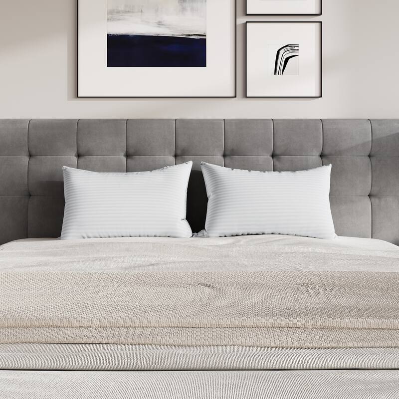 CraftPorch Elegence 2 Pieces Pillow