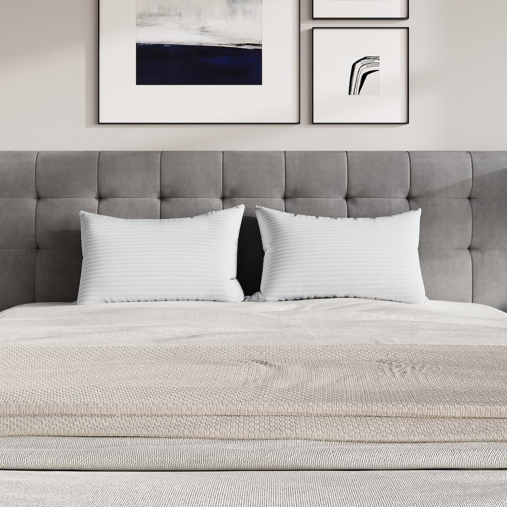 CraftPorch Elegence 2 Pieces Pillow