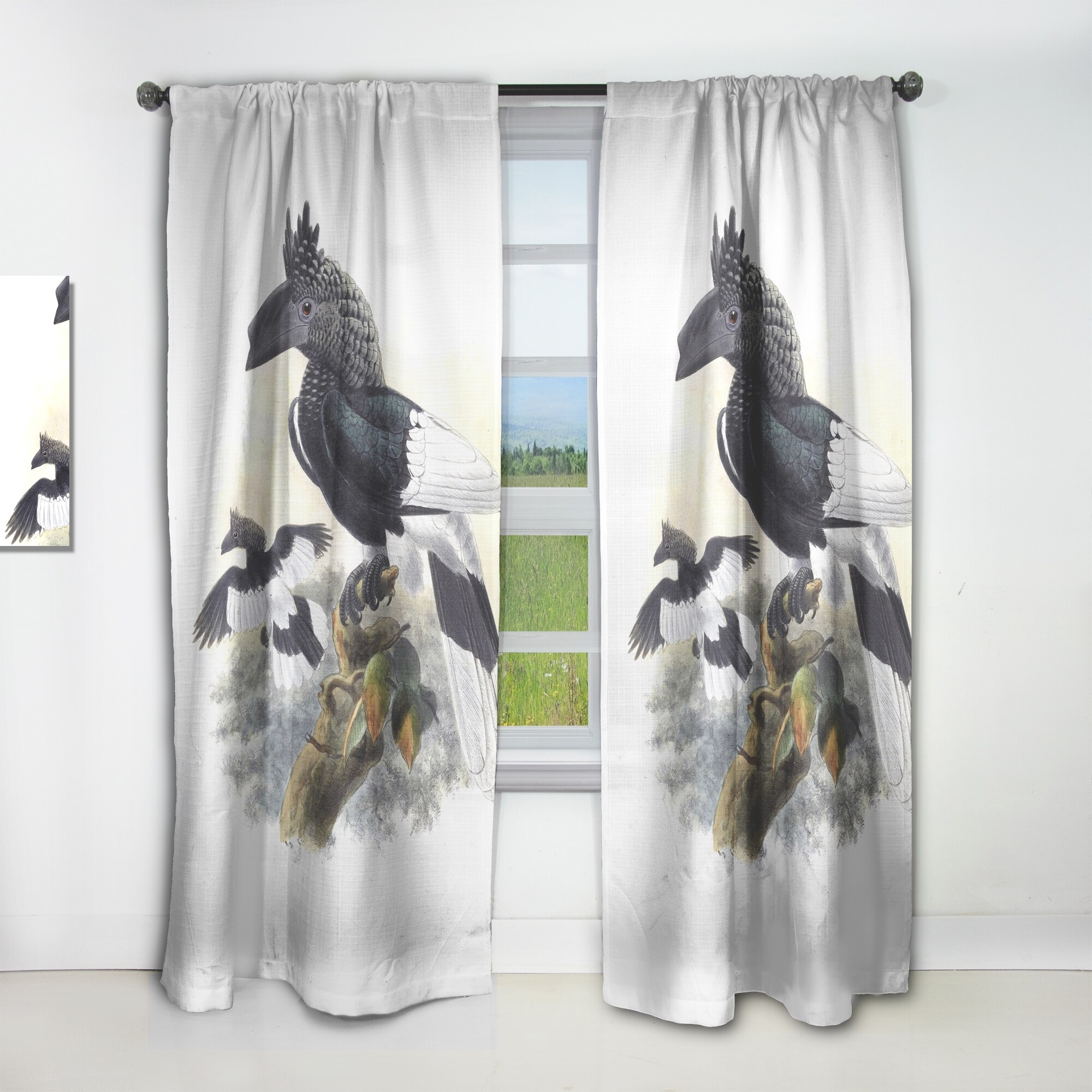 Designart 'Vintage Australian Birds XVI' Traditional Curtain Black