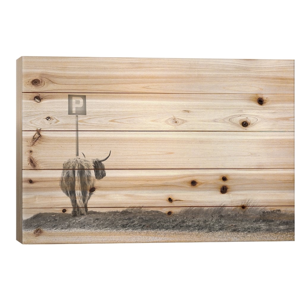 Highland Visitor Print On Wood by Dorit Fuhg - Multi-Color