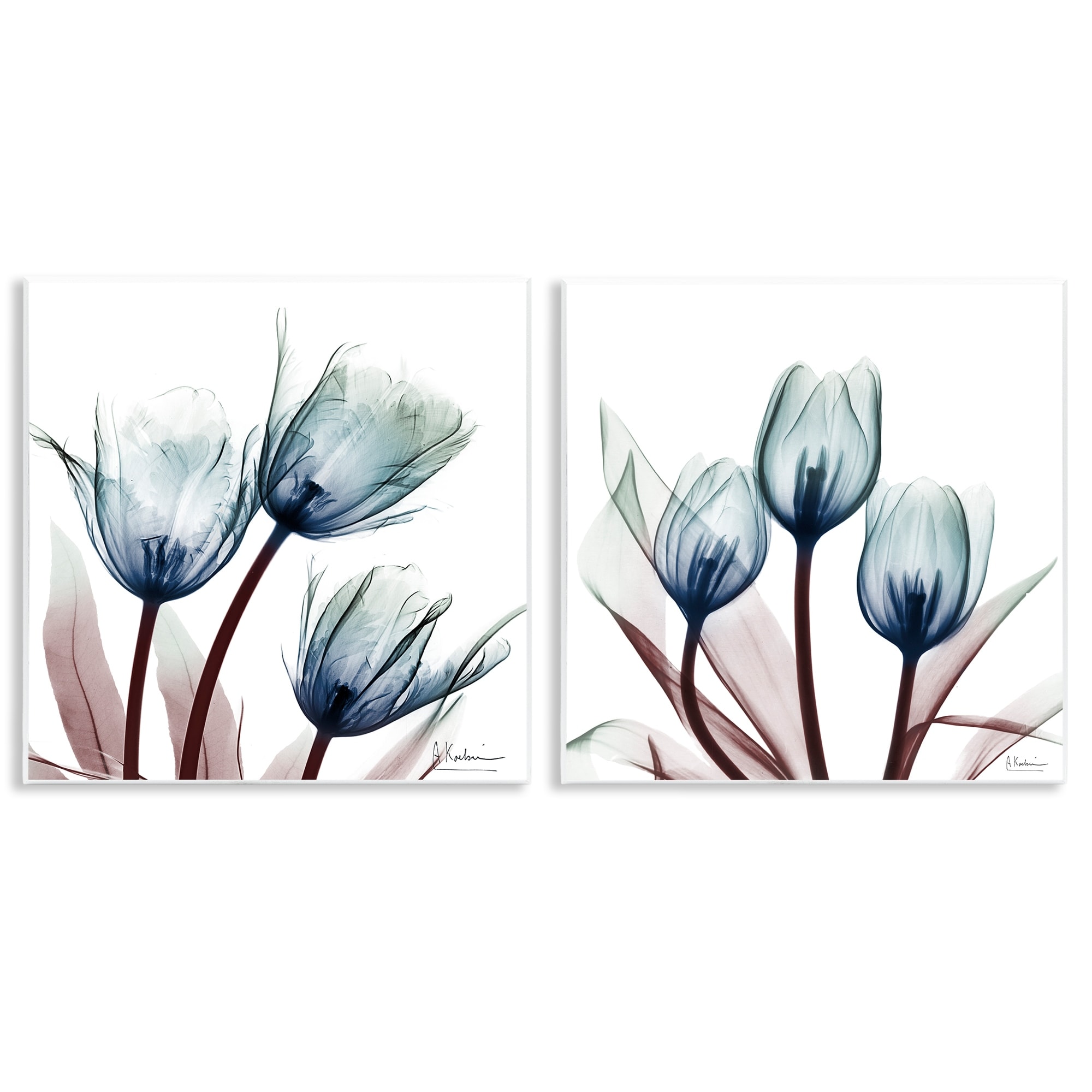 Stupell Vibrant Blue Tulips Wall Plaque Art Design By Albert Koetsier (Set of 2)