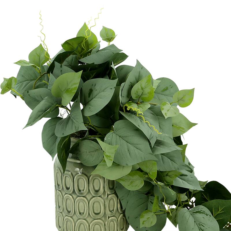 Frosted Ivy Arrangement in a Ceramic Pot - Green
