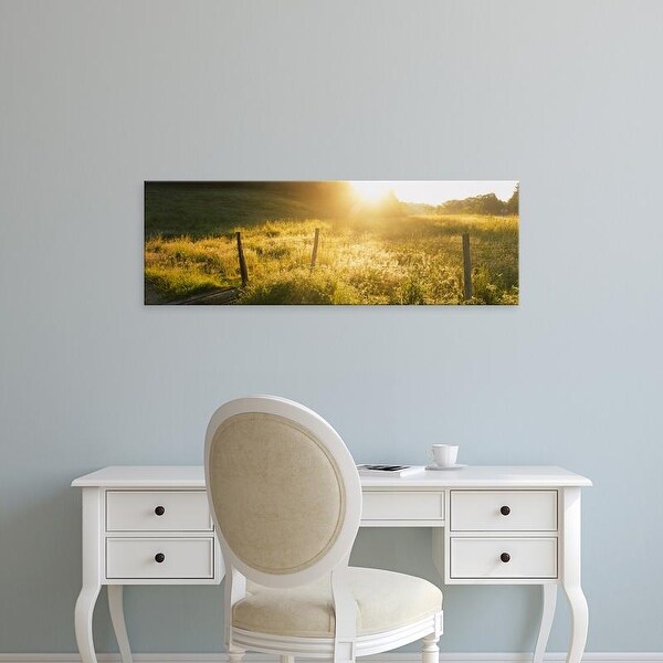 Easy Art Prints Panoramic Images's 'Plants in a forest, Dodgeville, Iowa County, Wisconsin, USA' Premium Canvas Art