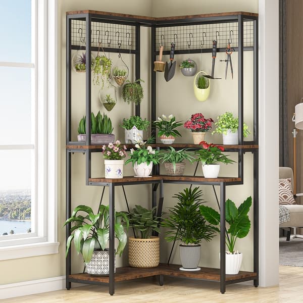 glass terrariums for plants Ferrisland Glass Terrarium Plants with Lid main image 0