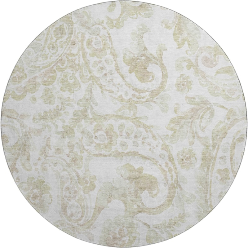 Premium Washable Super Soft Modern Paisley Mayfield Rug