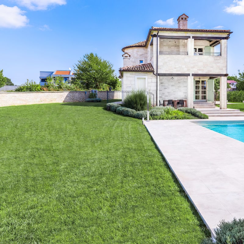 Realistic Grass Alternative: Durable, Pet-Safe Turf Grass Grass Rug