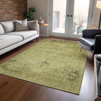 Machine Washable Indoor/ Outdoor Chantille Traditional Vintage Rug