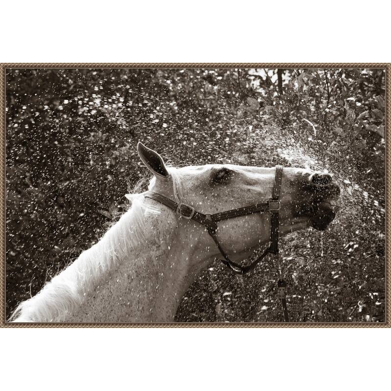 After a Shower by Jim Dratfield Framed Canvas Wall Art Print
