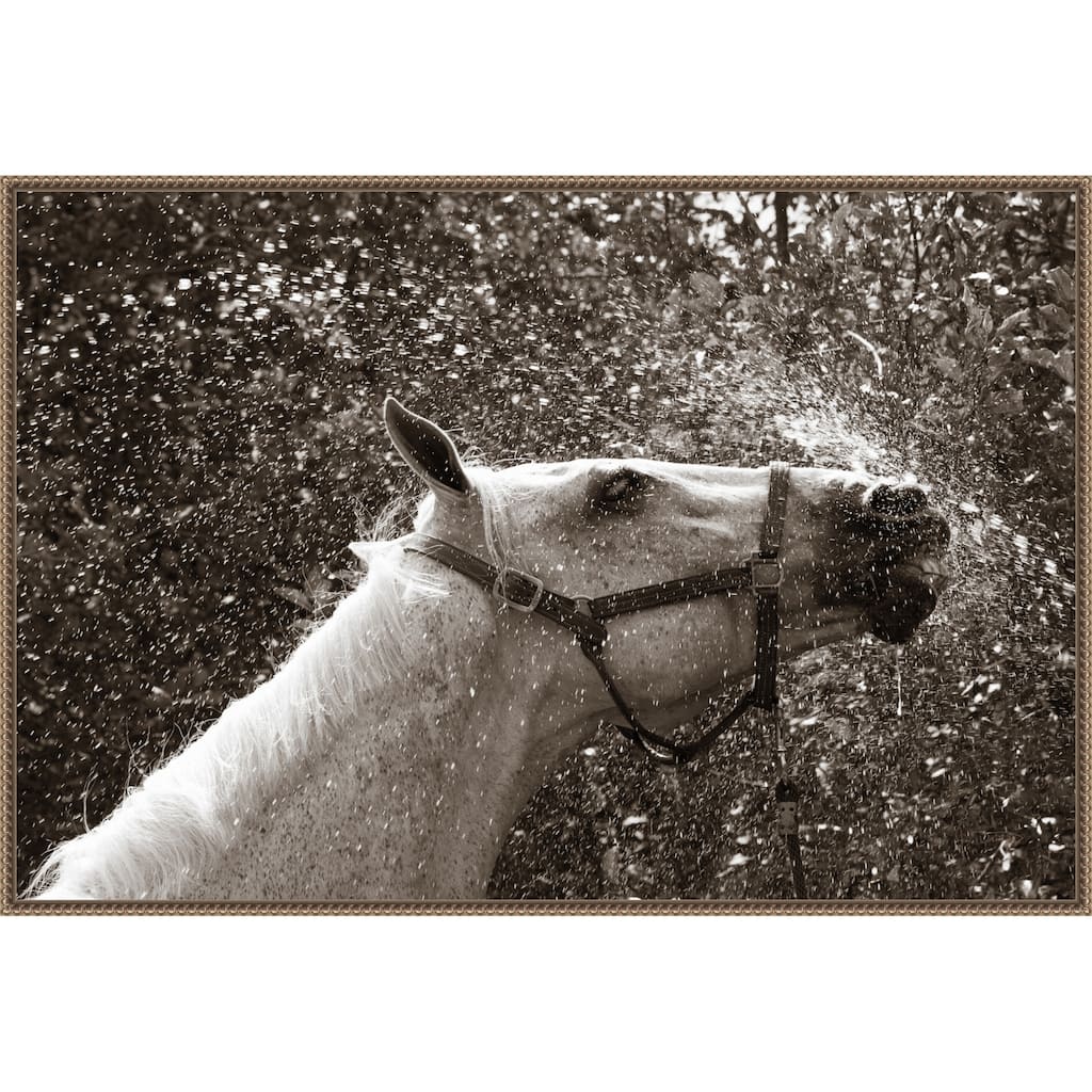 After a Shower by Jim Dratfield Framed Canvas Wall Art Print