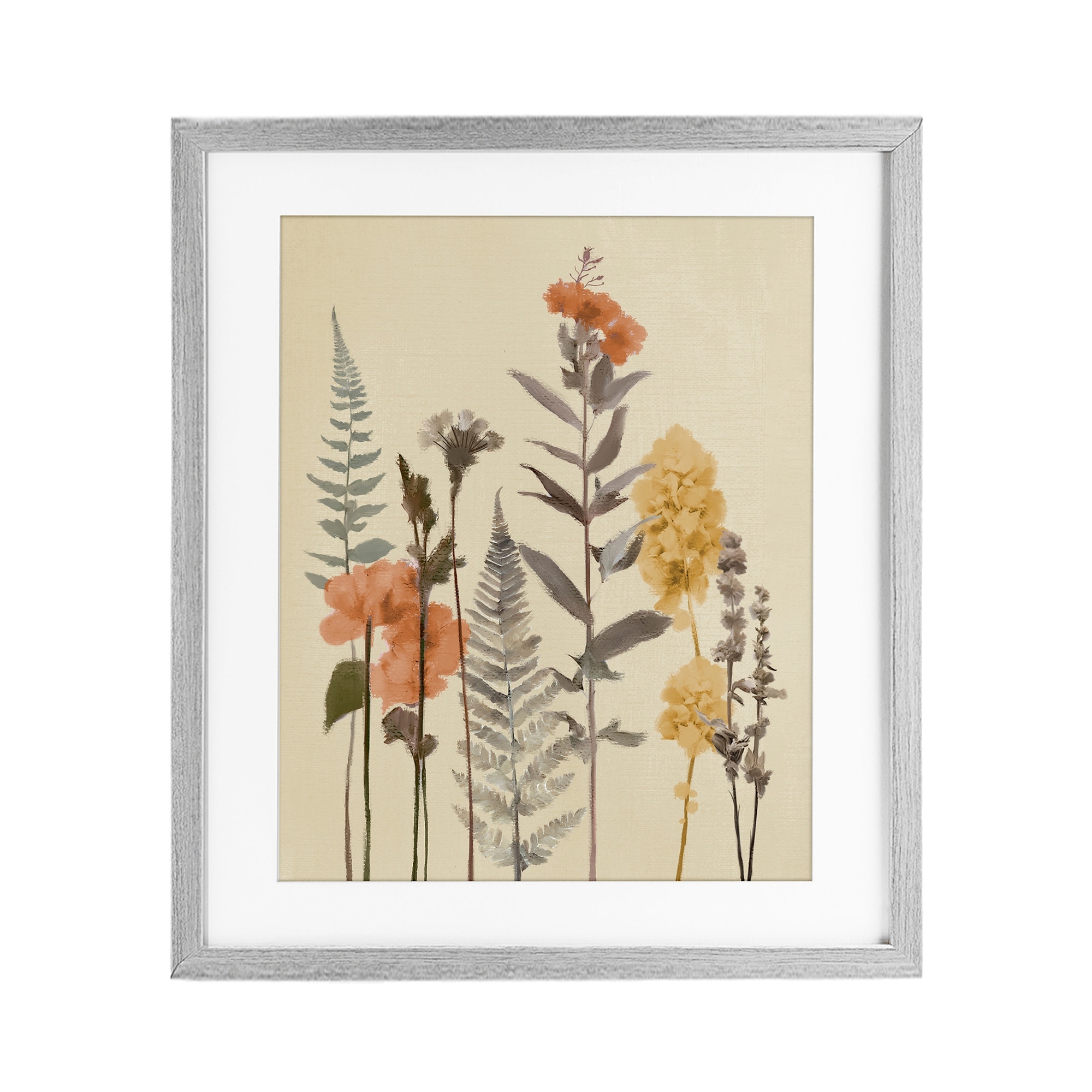 Stupell Fall Botanicals Fresh Ferns Under Glass Framed Design By Elizabeth Medley