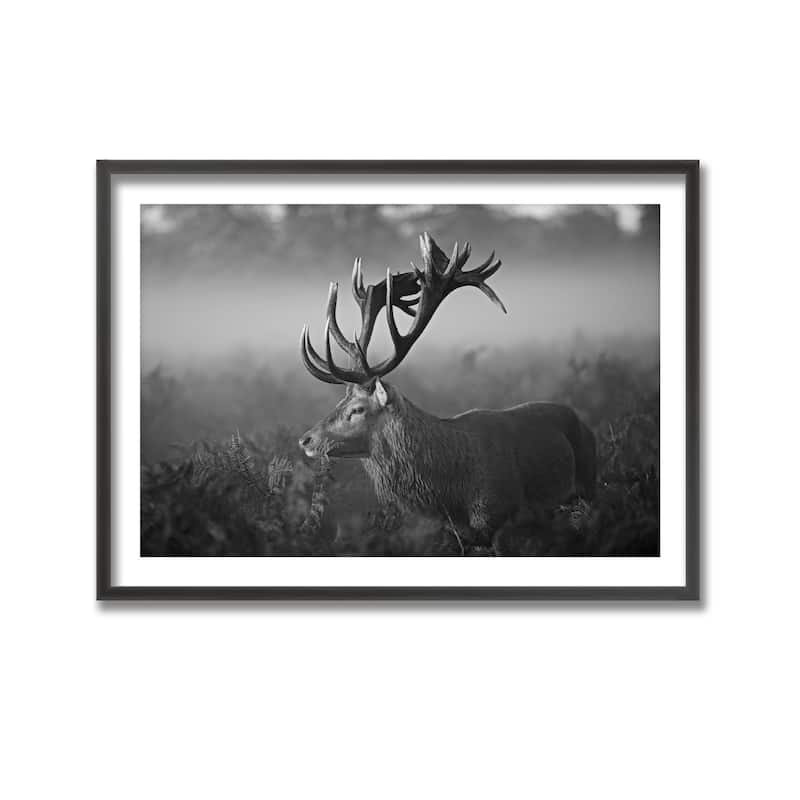 "Sunny Morning" Framed Print Wall Art by Robert Fabrowski