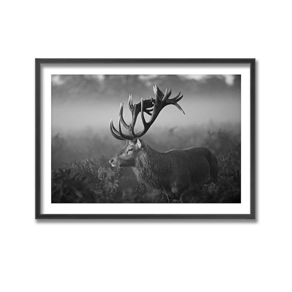 "Sunny Morning" Framed Print Wall Art by Robert Fabrowski